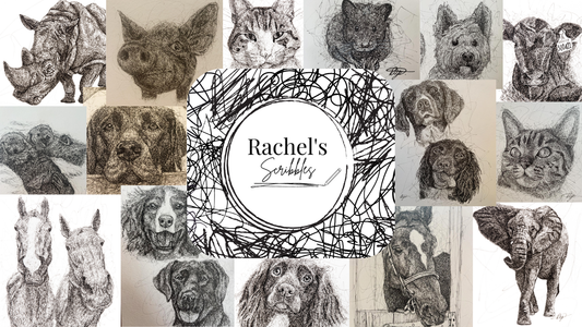 From The Kernow Creative to Rachel's Scribbles: A New Chapter
