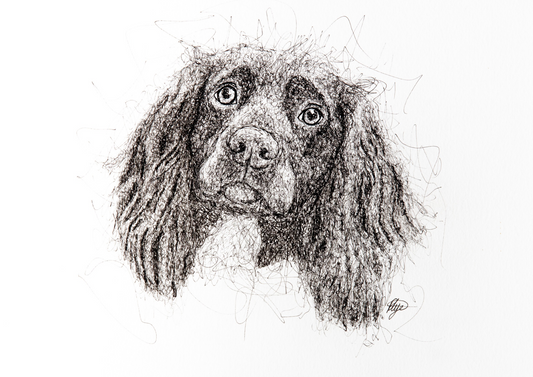 Maisie Dog