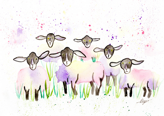 Sheep Watercolour Giclée Print