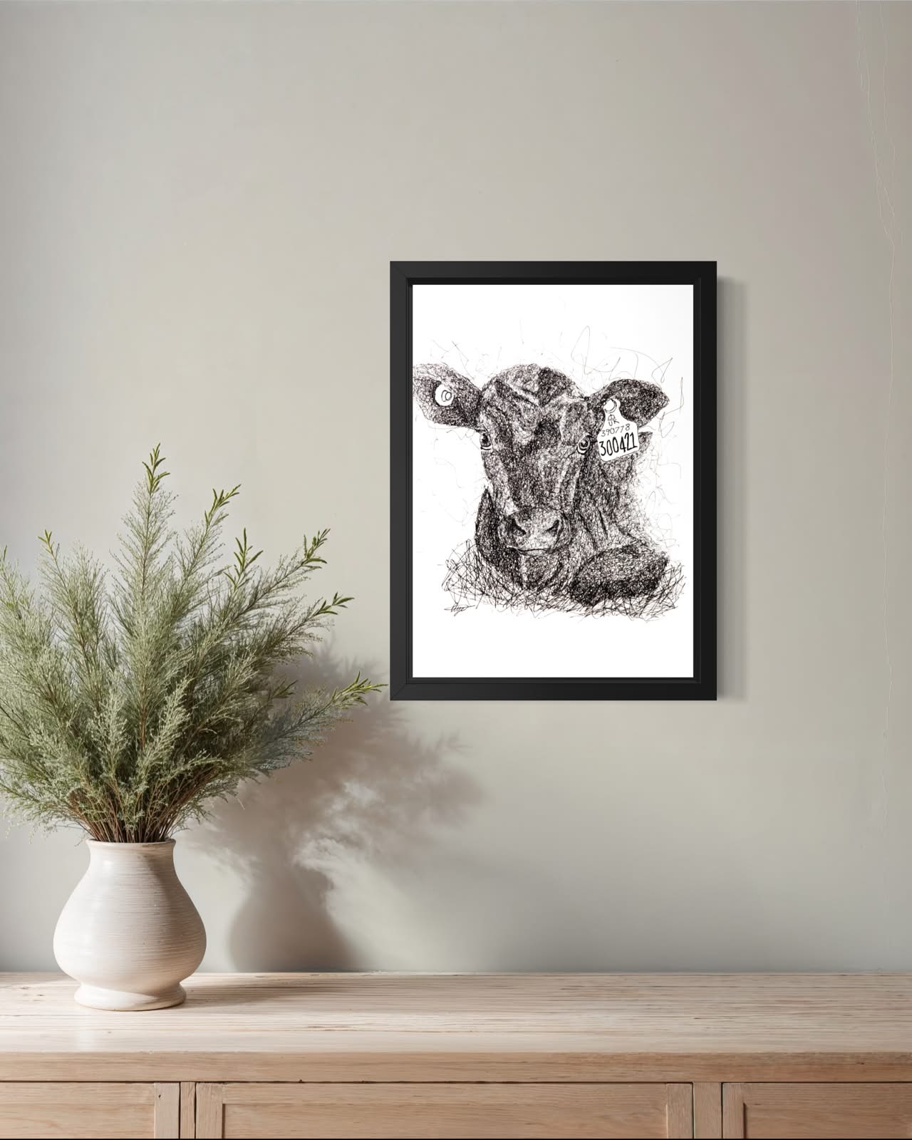 Angus Calf