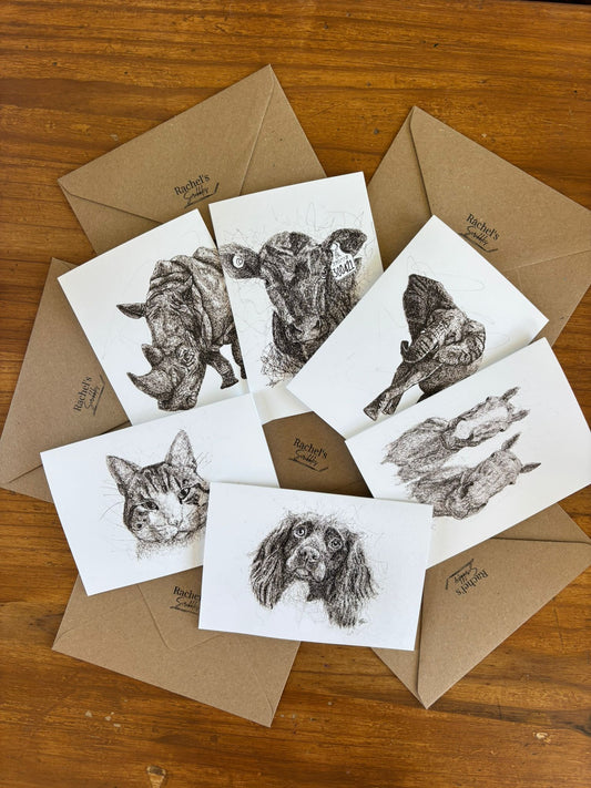 Pack of 5 Greeting Cards