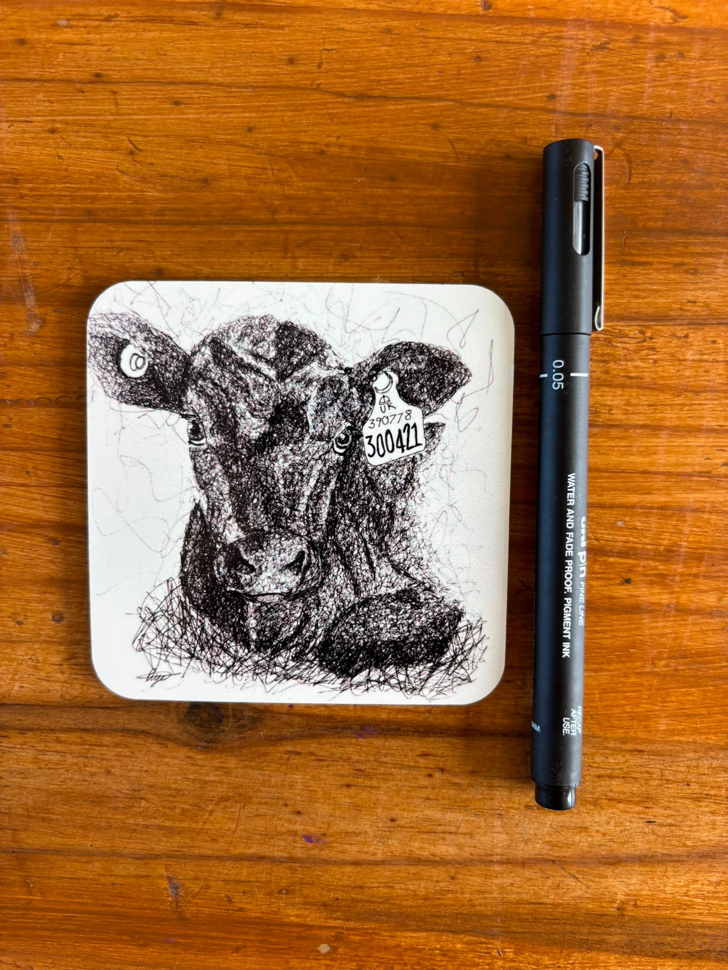 Angus Calf Coaster