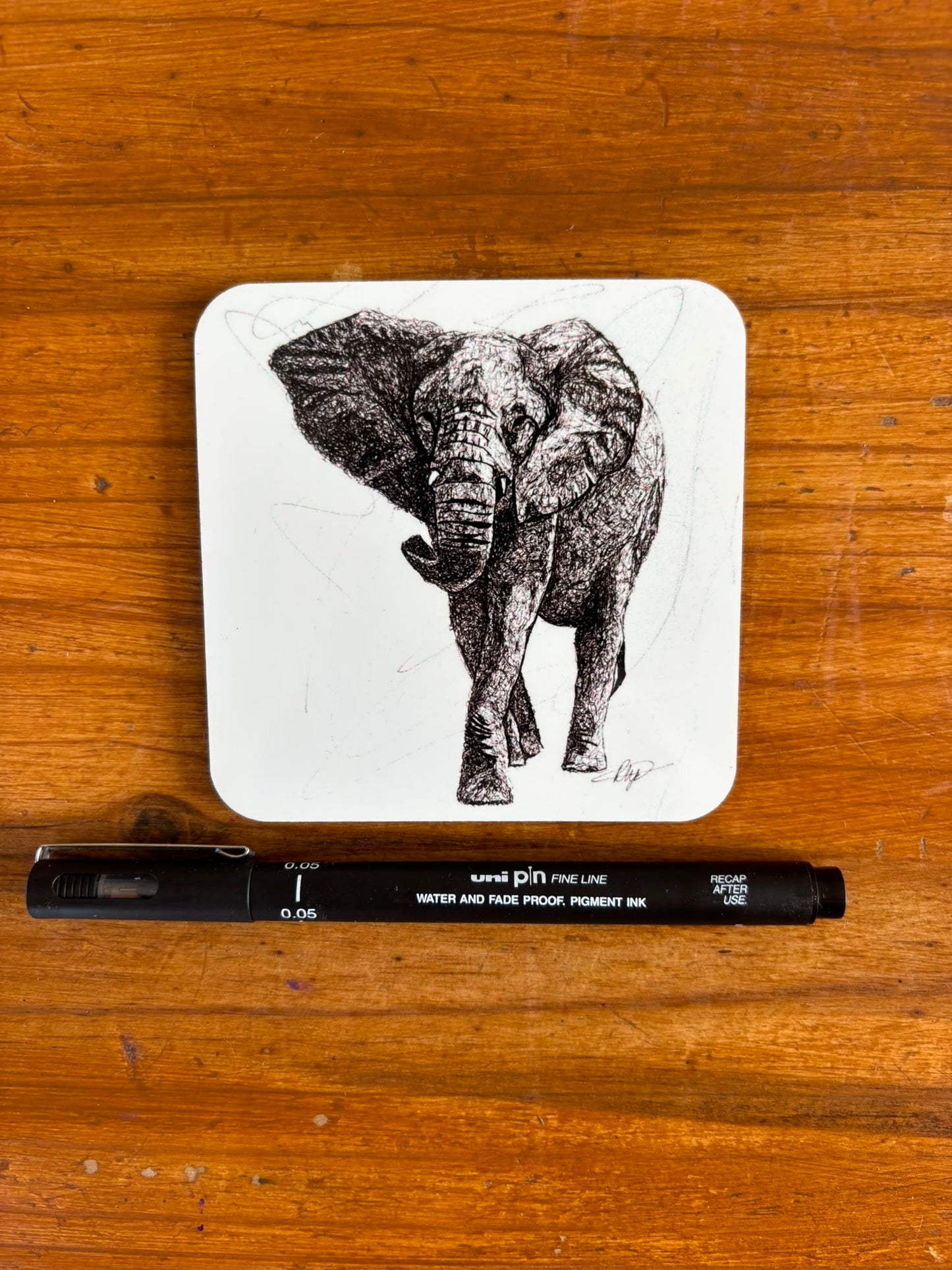 South African Elephant Coaster