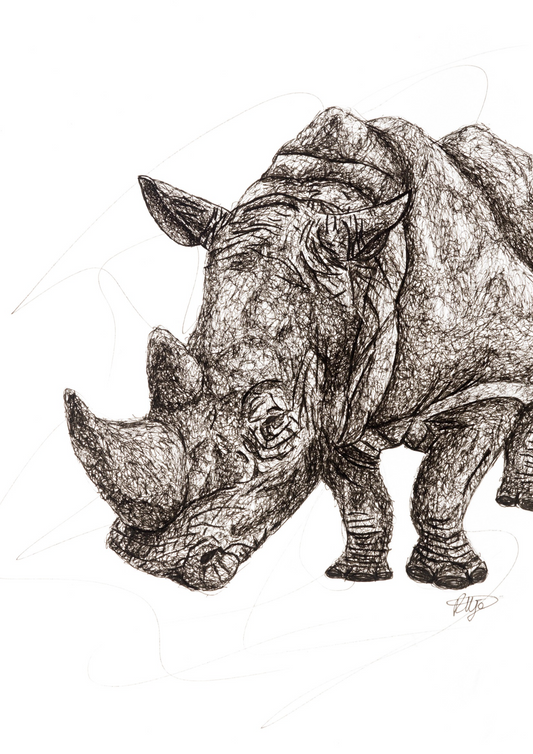 White Rhino