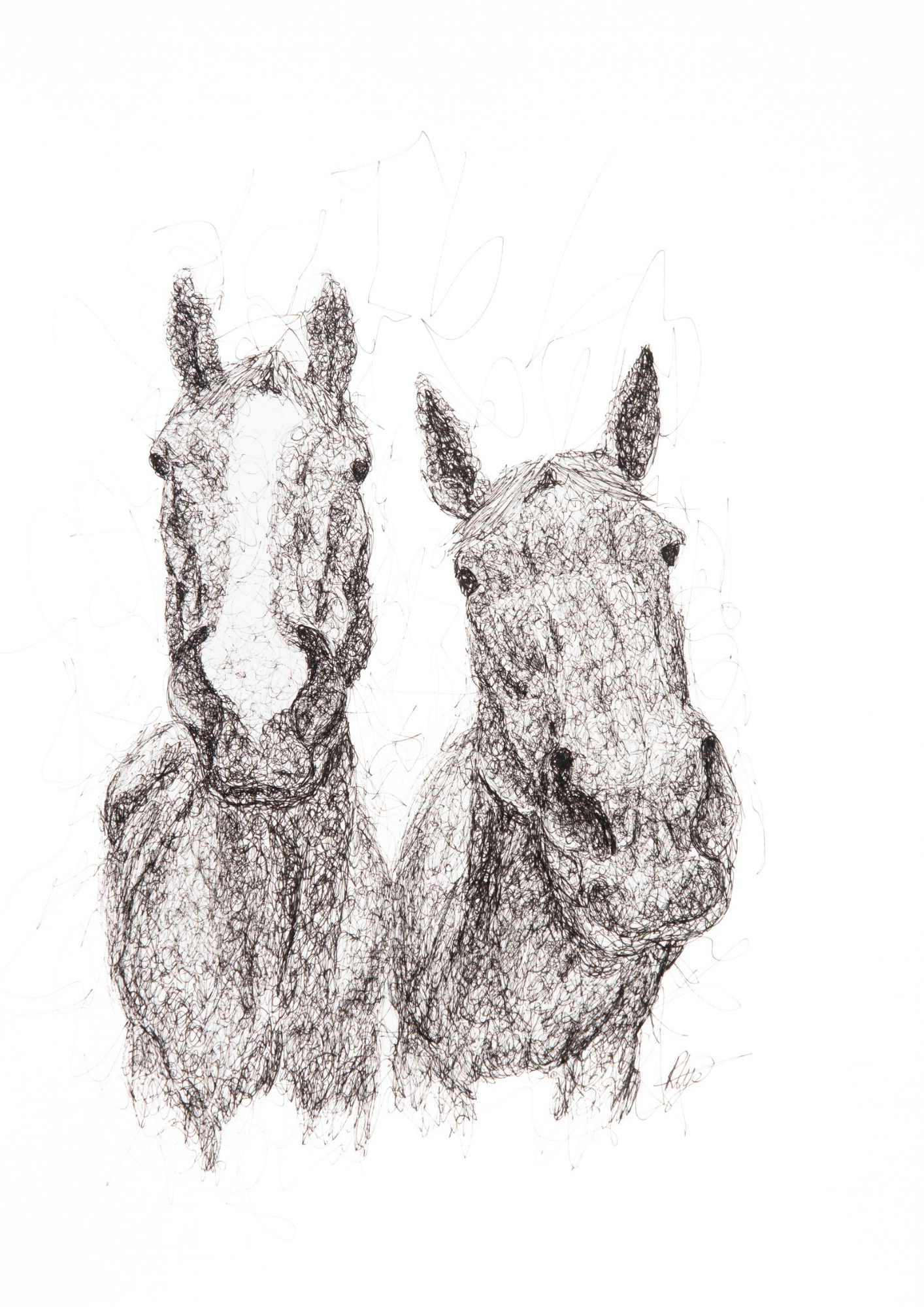 Horsing Around